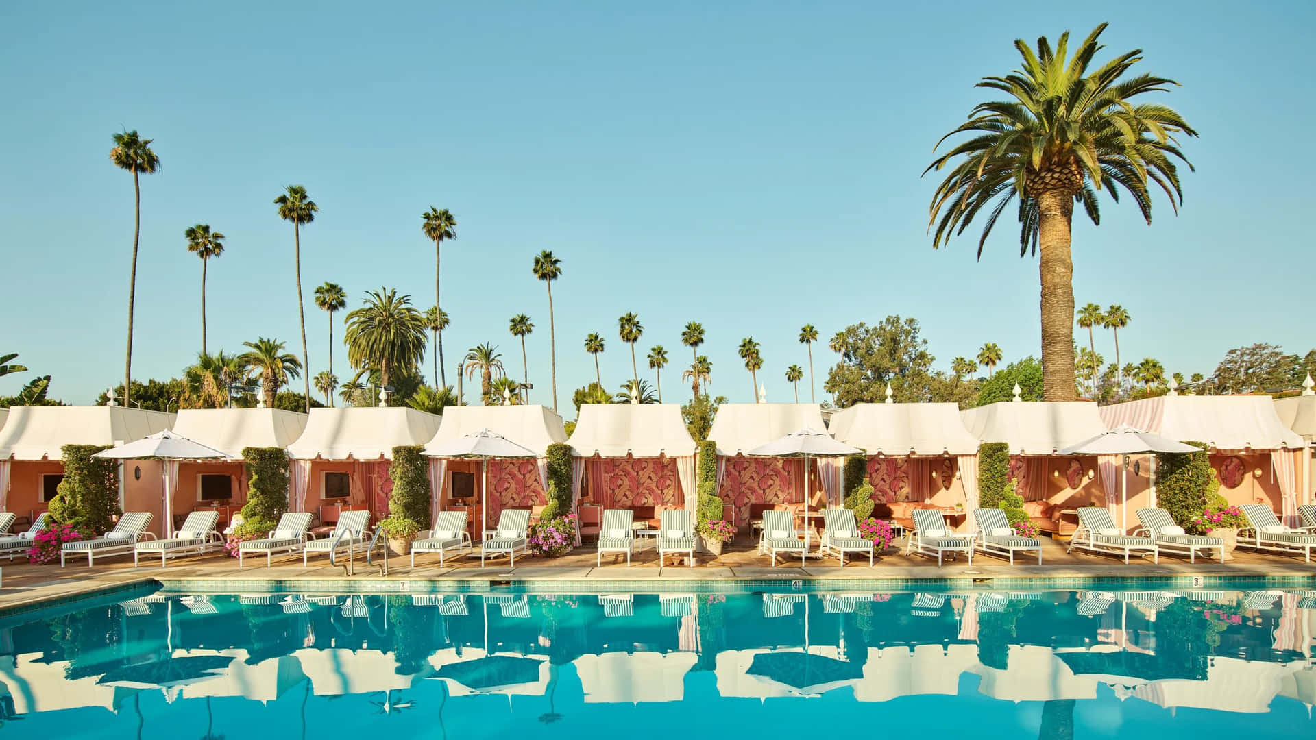 Vue De Luxe De La Piscine De Beverly Hills Fond d'écran