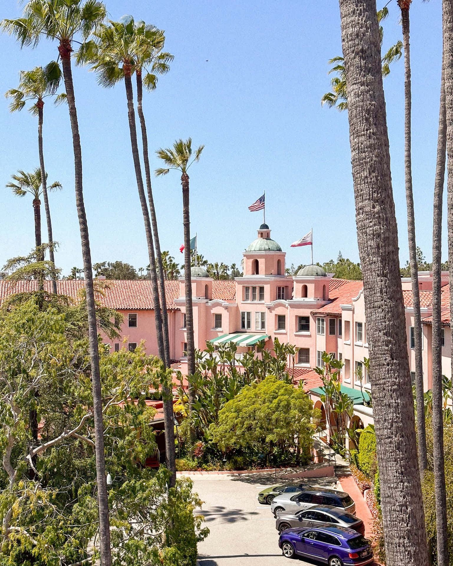 Beverly Hills Palm Lined Elegance Achtergrond