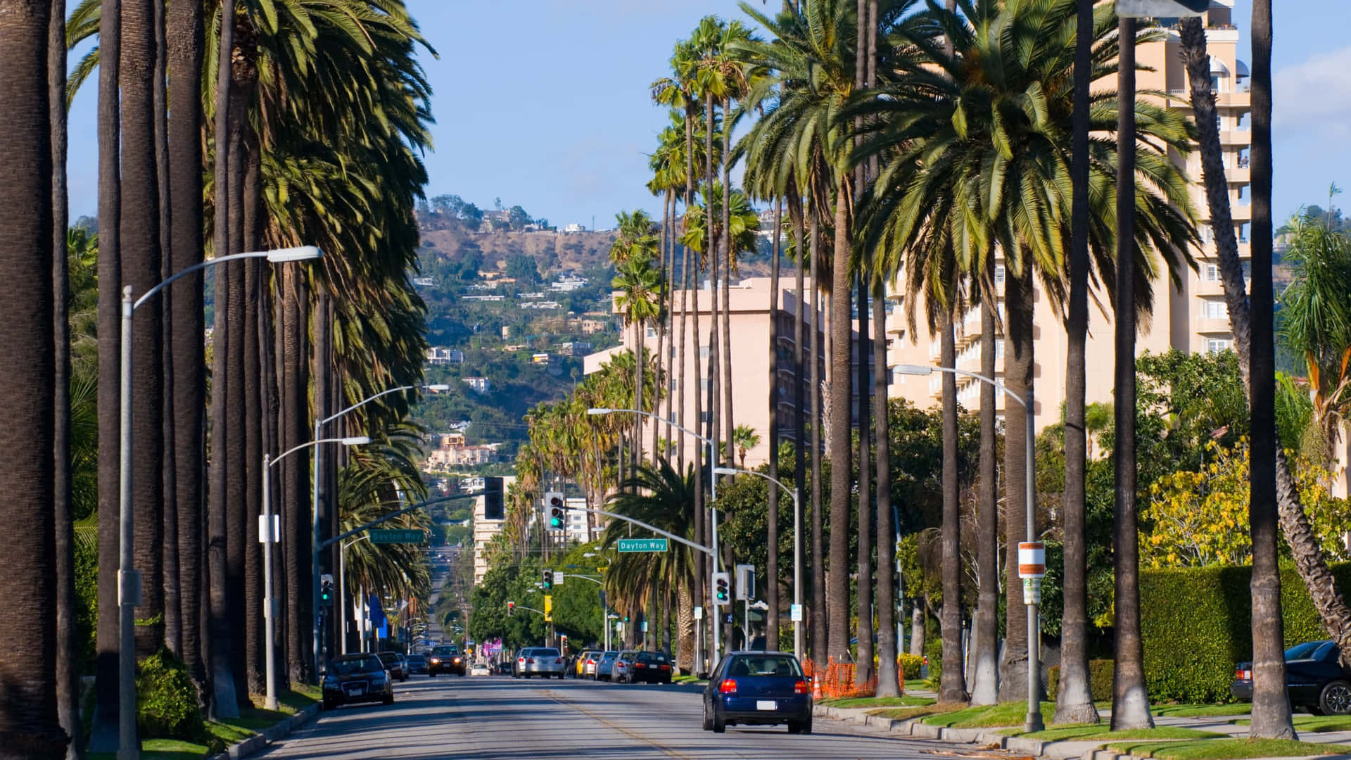 Rue Bordée De Palmiers À Beverly Hills Fond d'écran