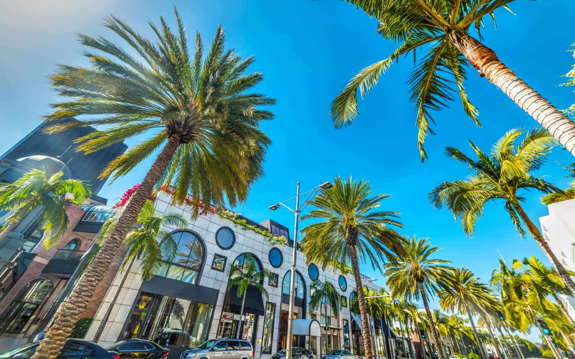 Download Beverly Hills Rodeo Drive Palm Trees Wallpaper | Wallpapers.com