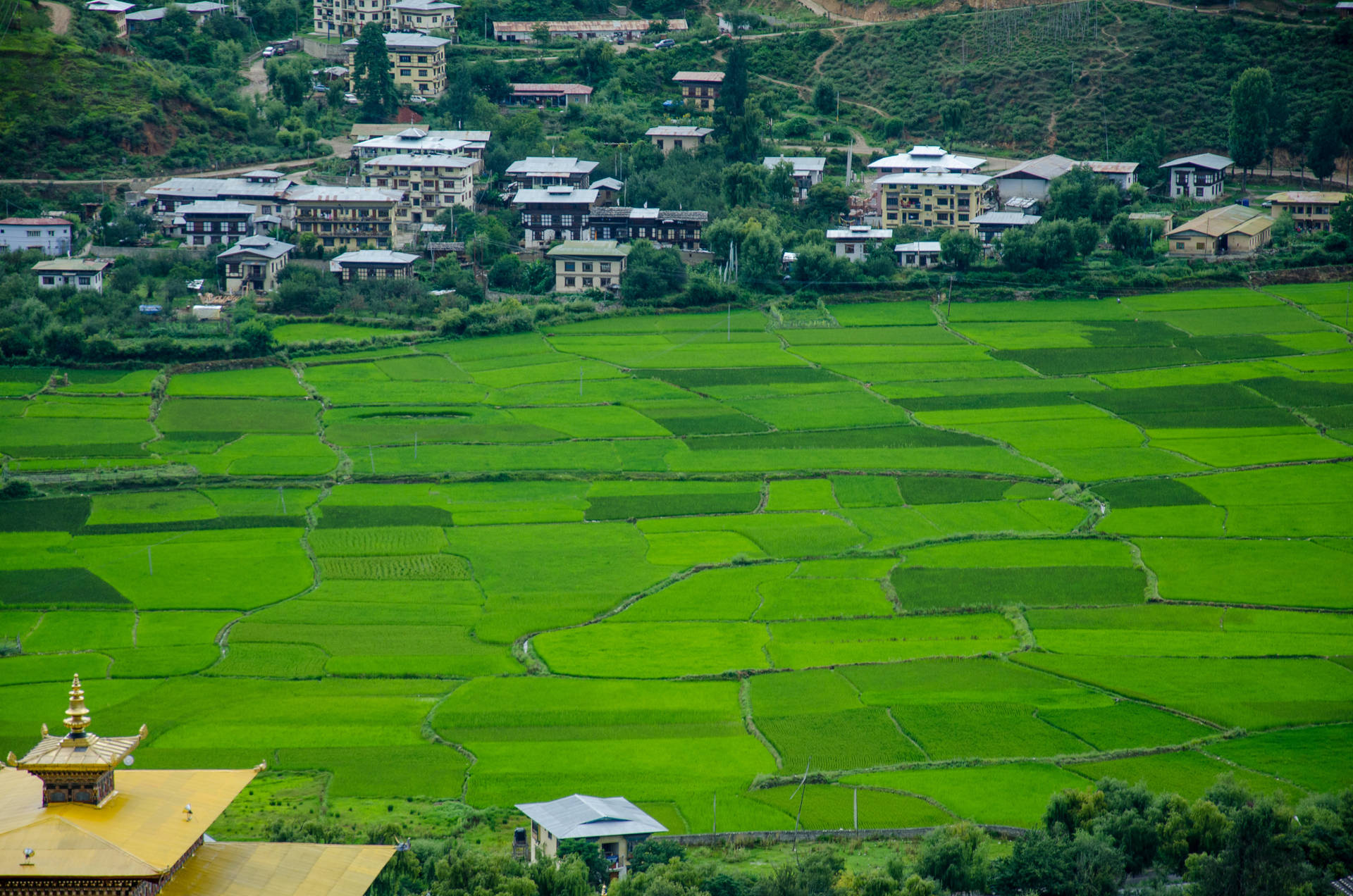 Bhutan Farmland View Wallpaper