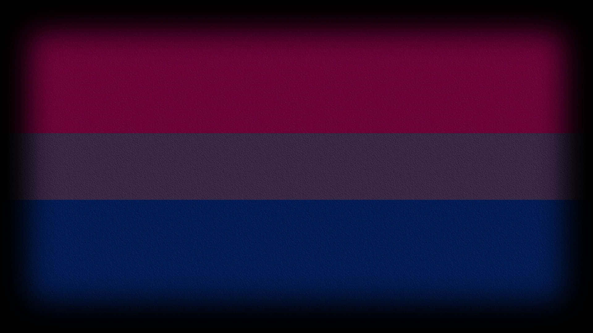 Image  Bi Pride Flag Wallpaper