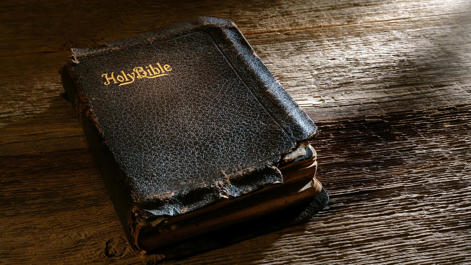 Bibelhintergrund