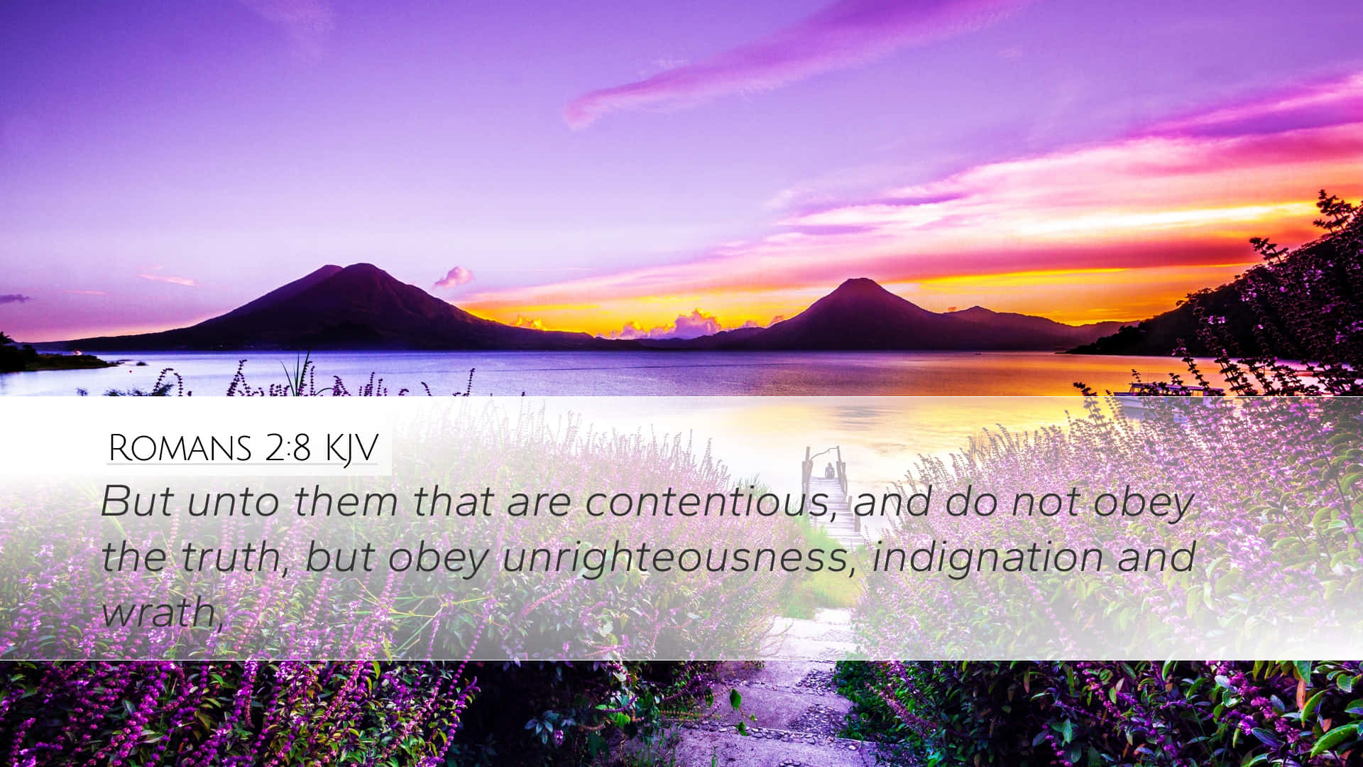 Bible Quote On Being Contentious Wallpaper