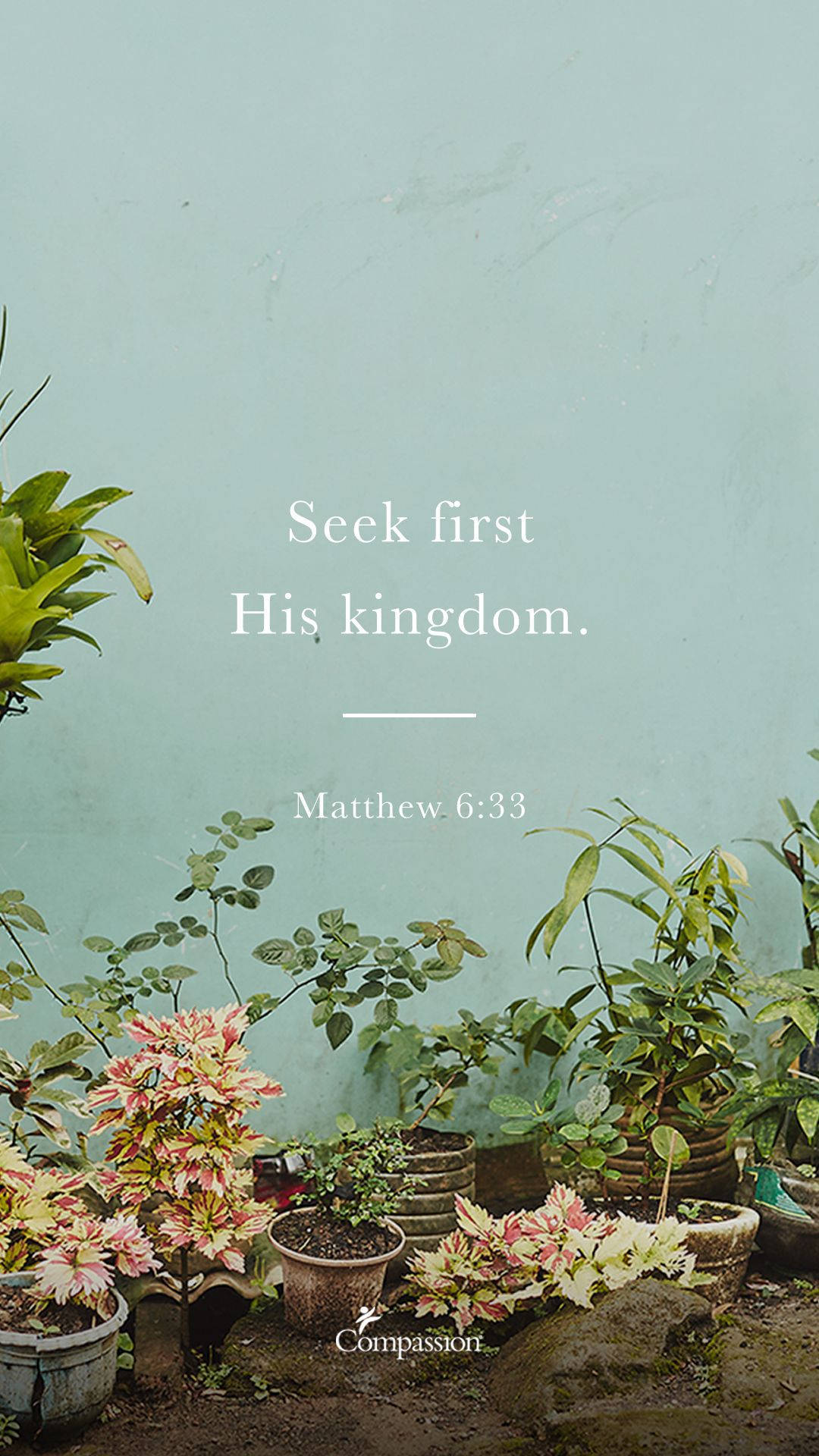 Bible Verse Aesthetic Of Matthew Wallpaper