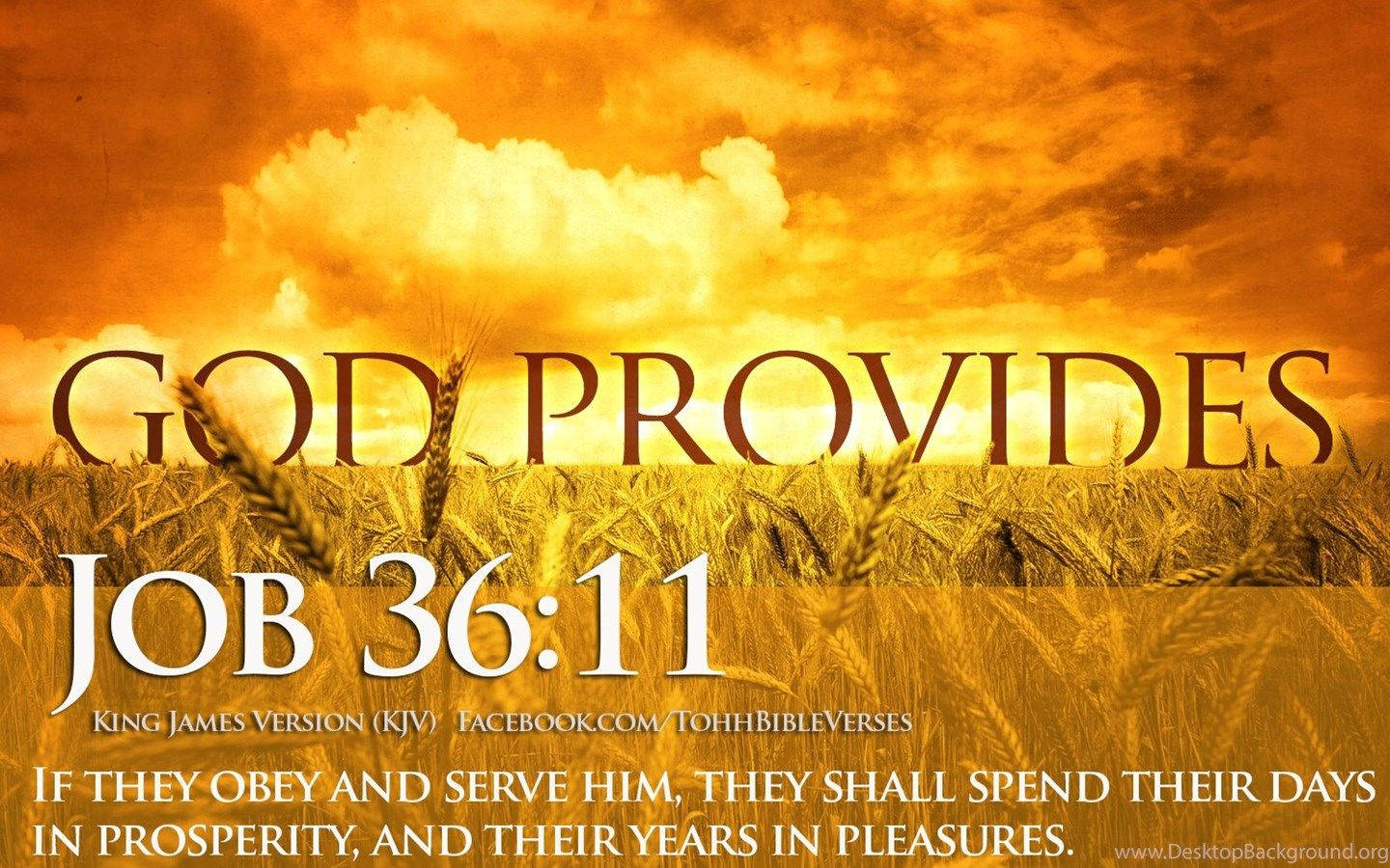 Bible Verse God Provides
