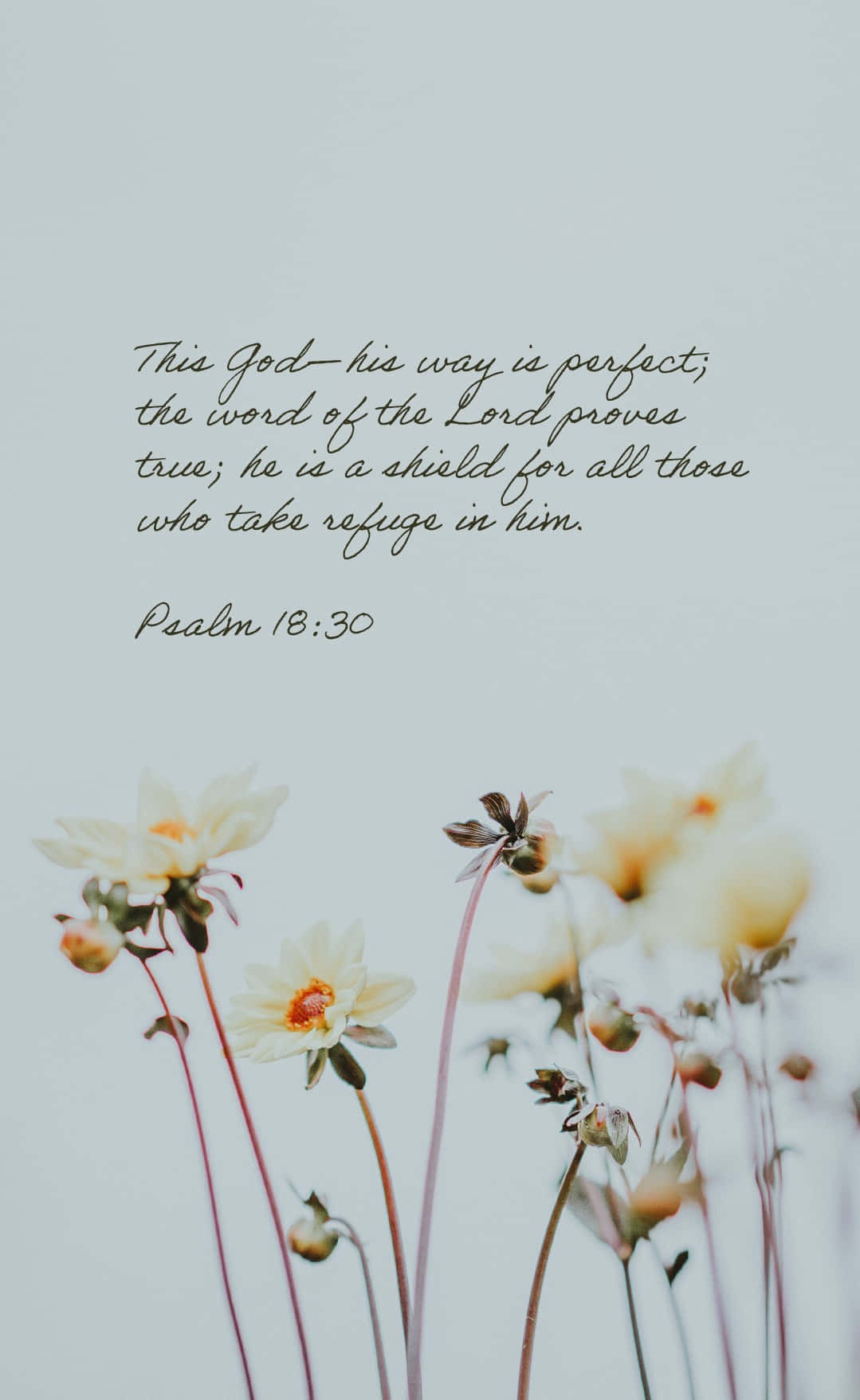 Bible Verse Phone Psalm 16 Wallpaper
