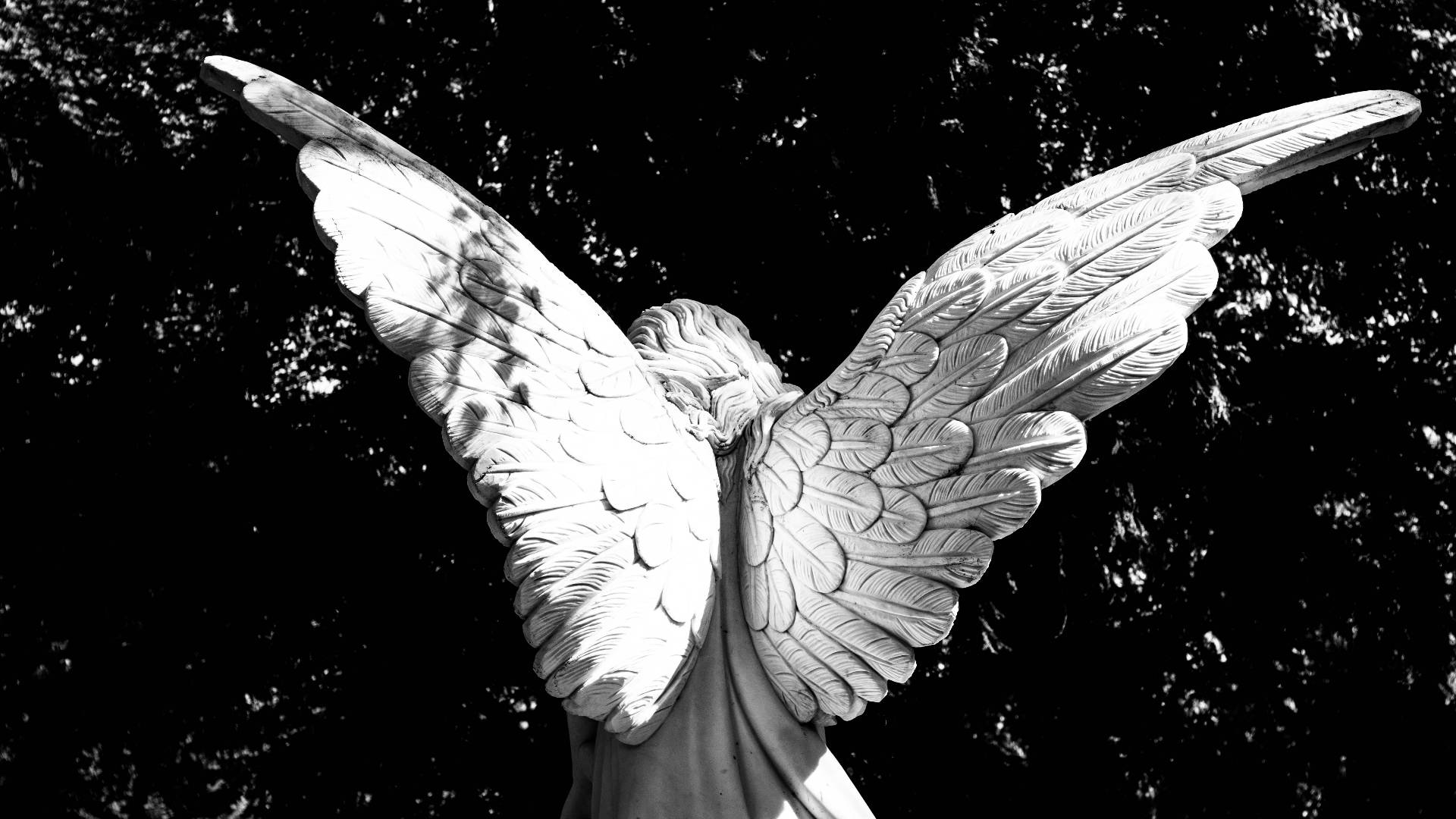 Biblical Angel Wings Wallpaper