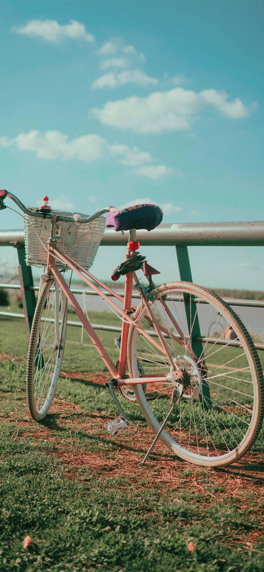 Bicicletas Utilitárias Rosa Para Iphone Papel de Parede