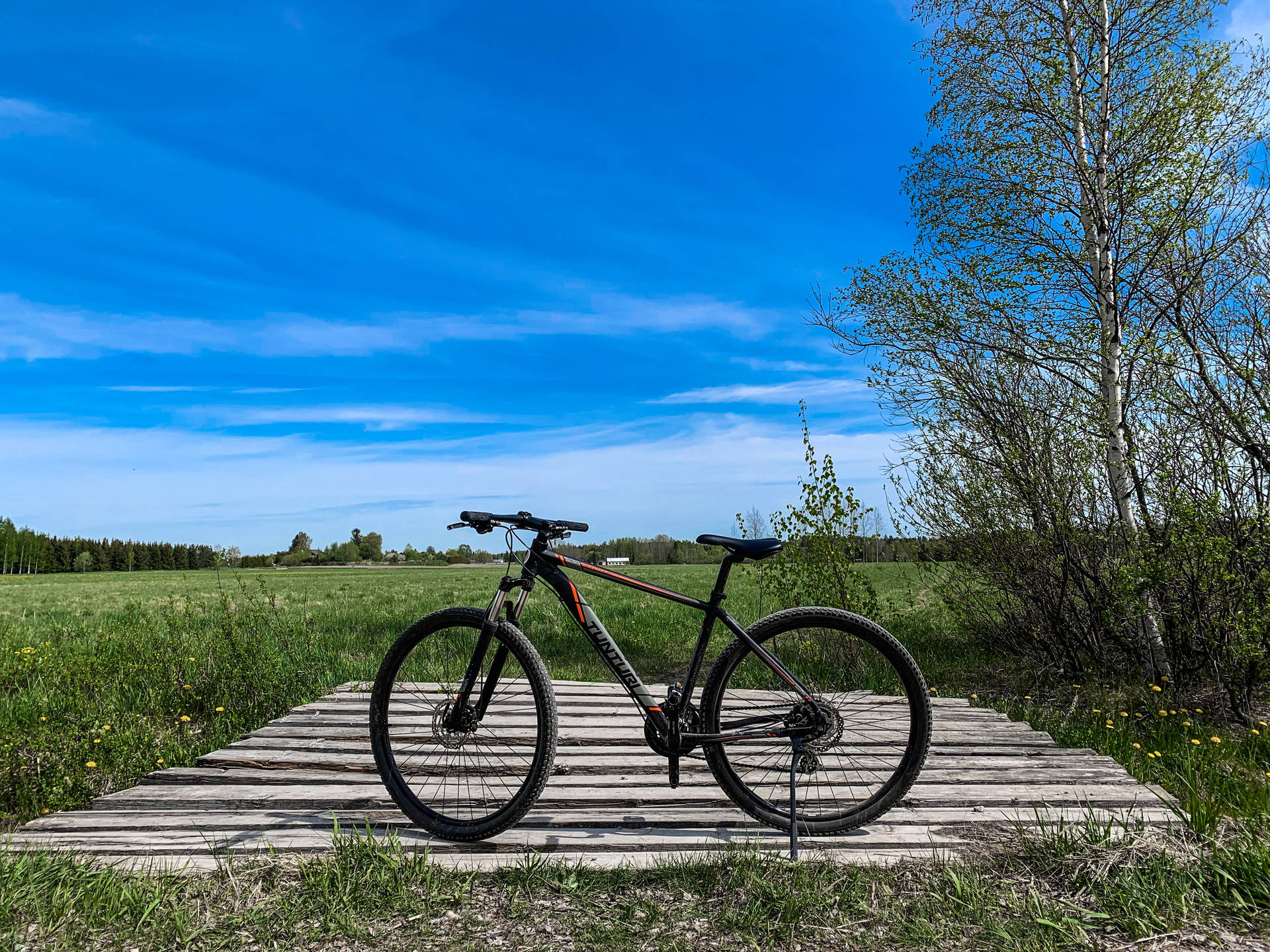 Bicycle In Nature Picture