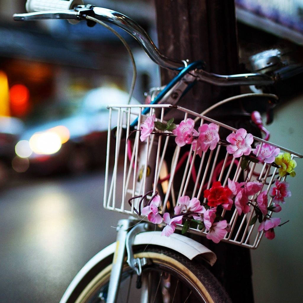 Tag på en vild tur på cykel med et cykel-iPhone tapet. Wallpaper