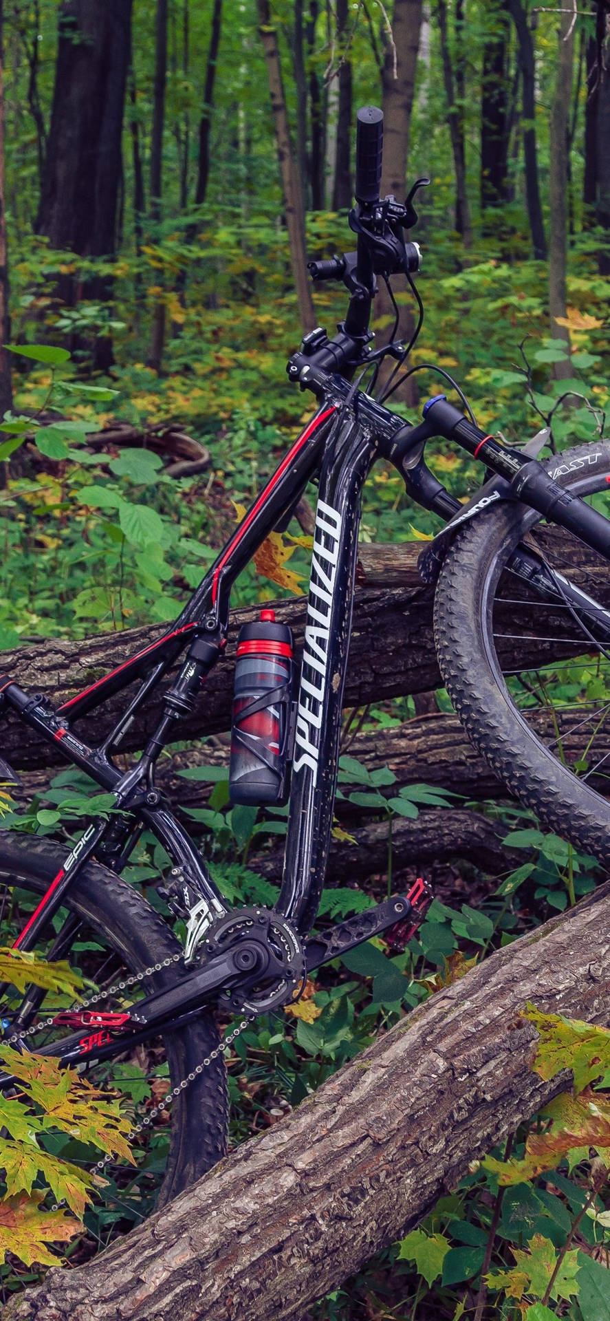 Verdant Forest Mountain Bicycle Iphone Wallpaper