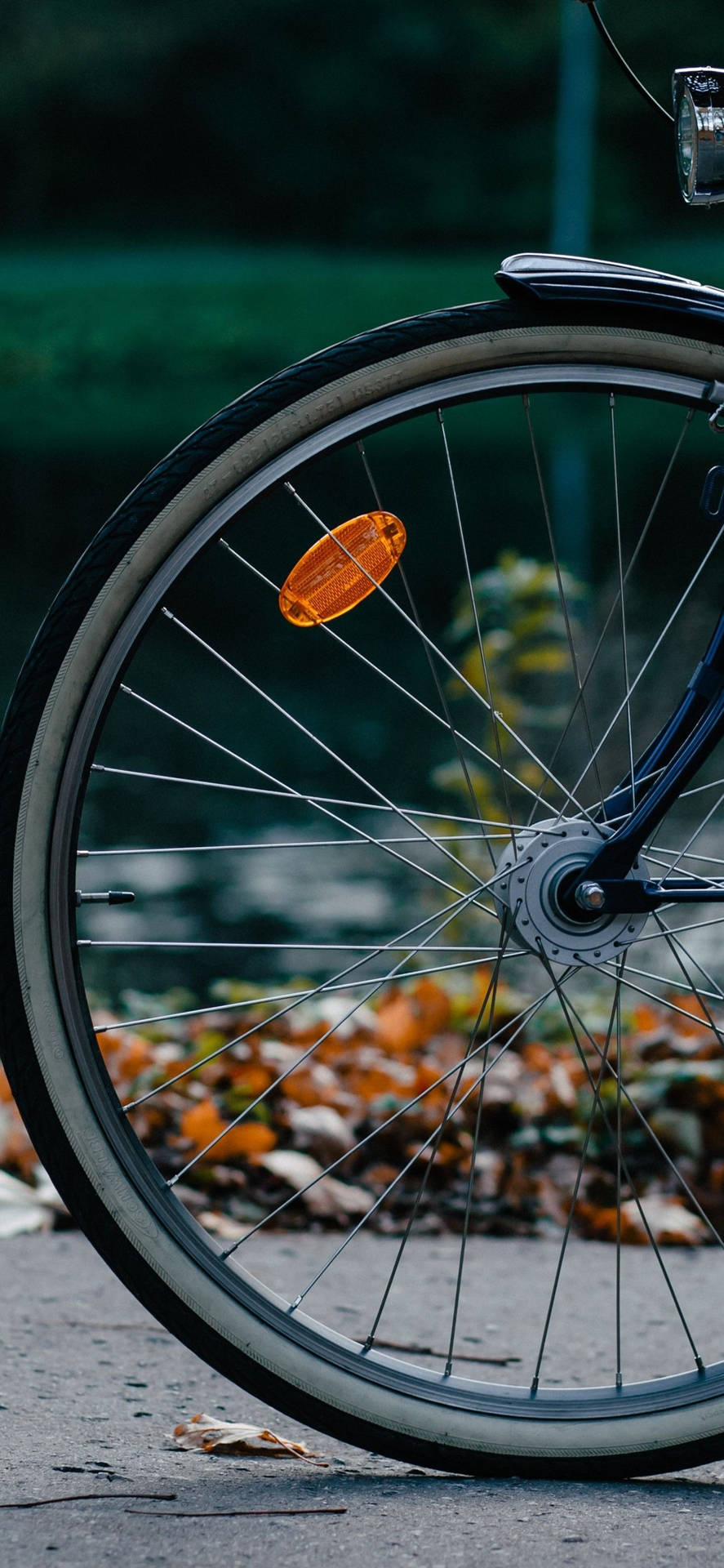 Fascinating Bicycle Iphone Wheel Bokeh Shot Wallpaper
