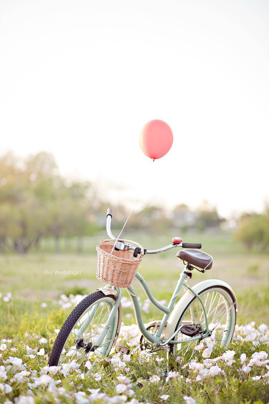 Disfrutadel Aire Libre Con Tu Bicicleta Y Iphone Fondo de pantalla