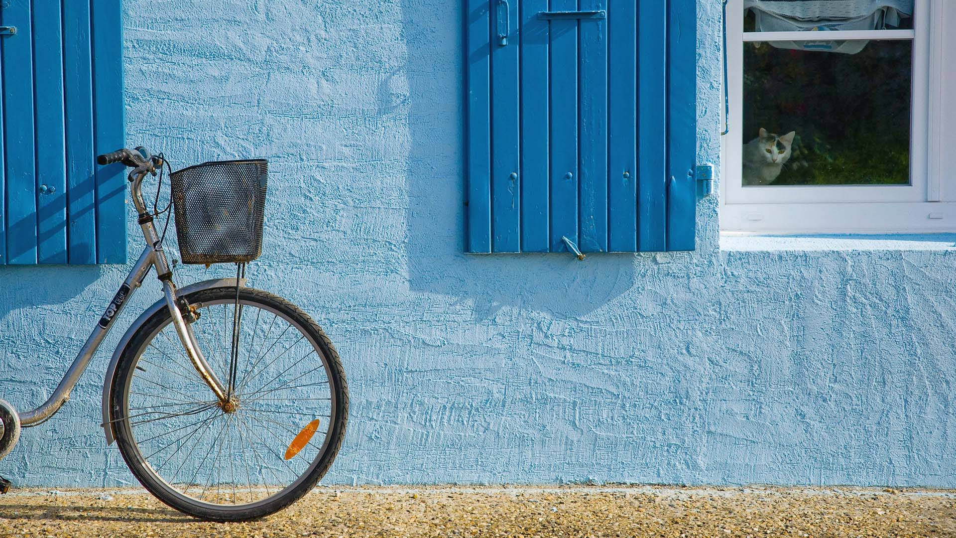 Bicycle On Blue Wall Wallpaper