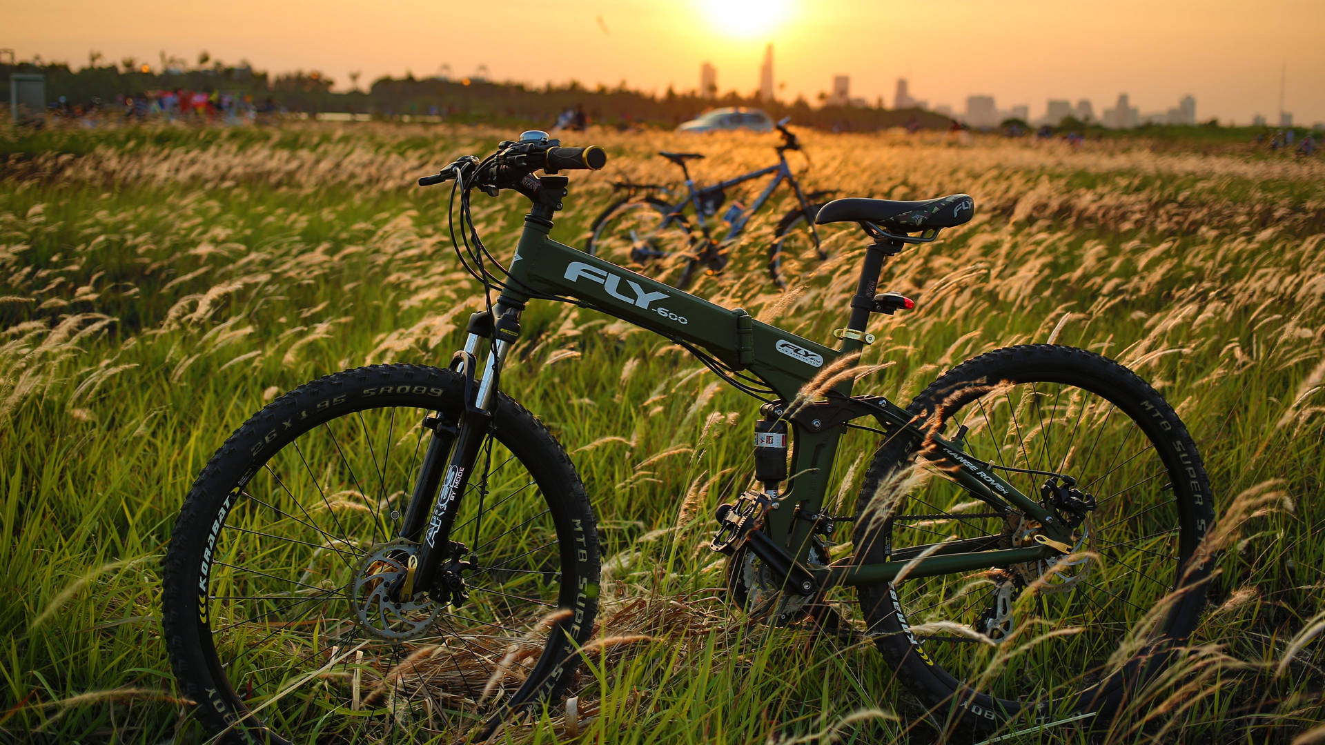 Bicycle On Meadow Background