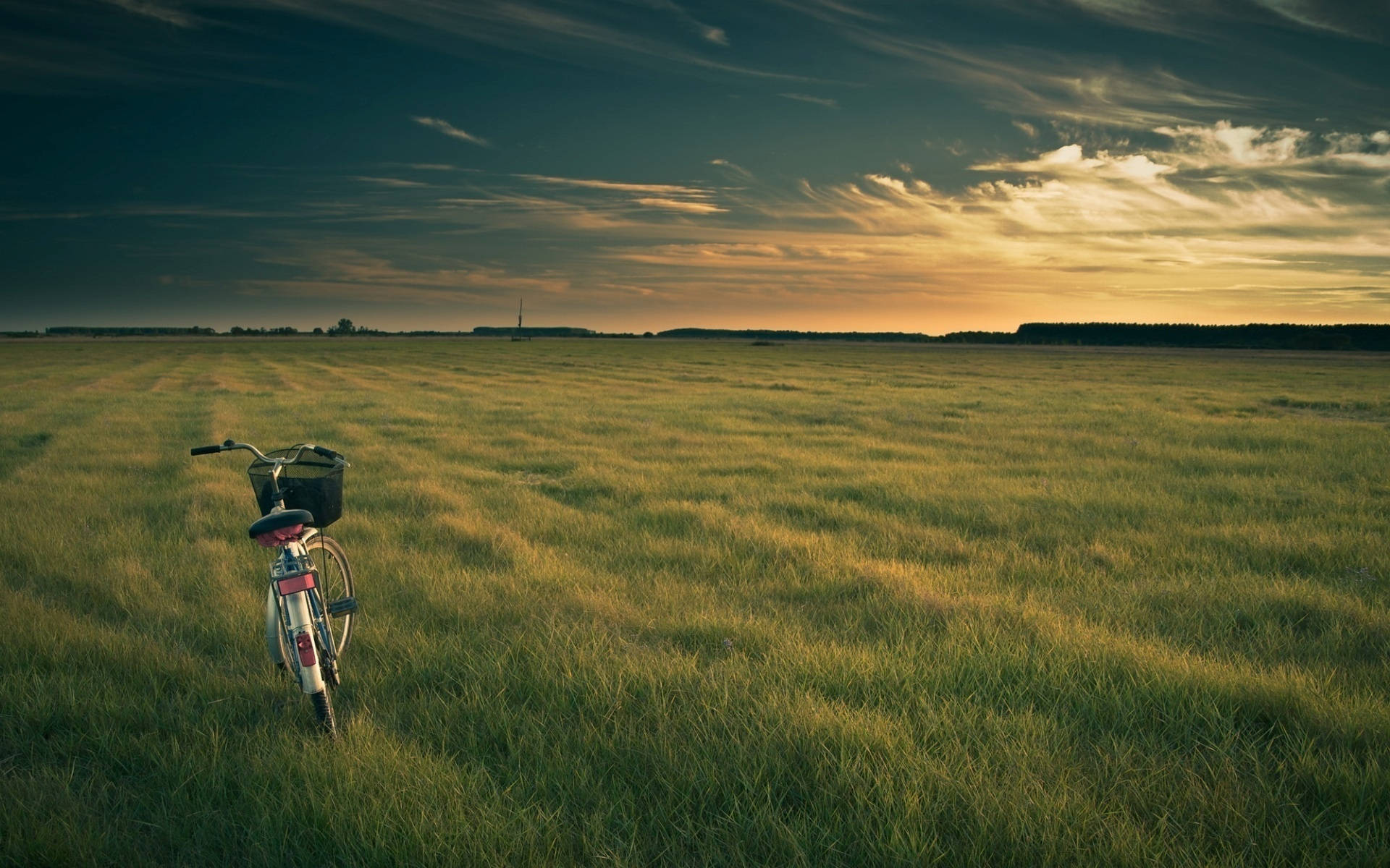 Bicycle On Verdant Pasture Background