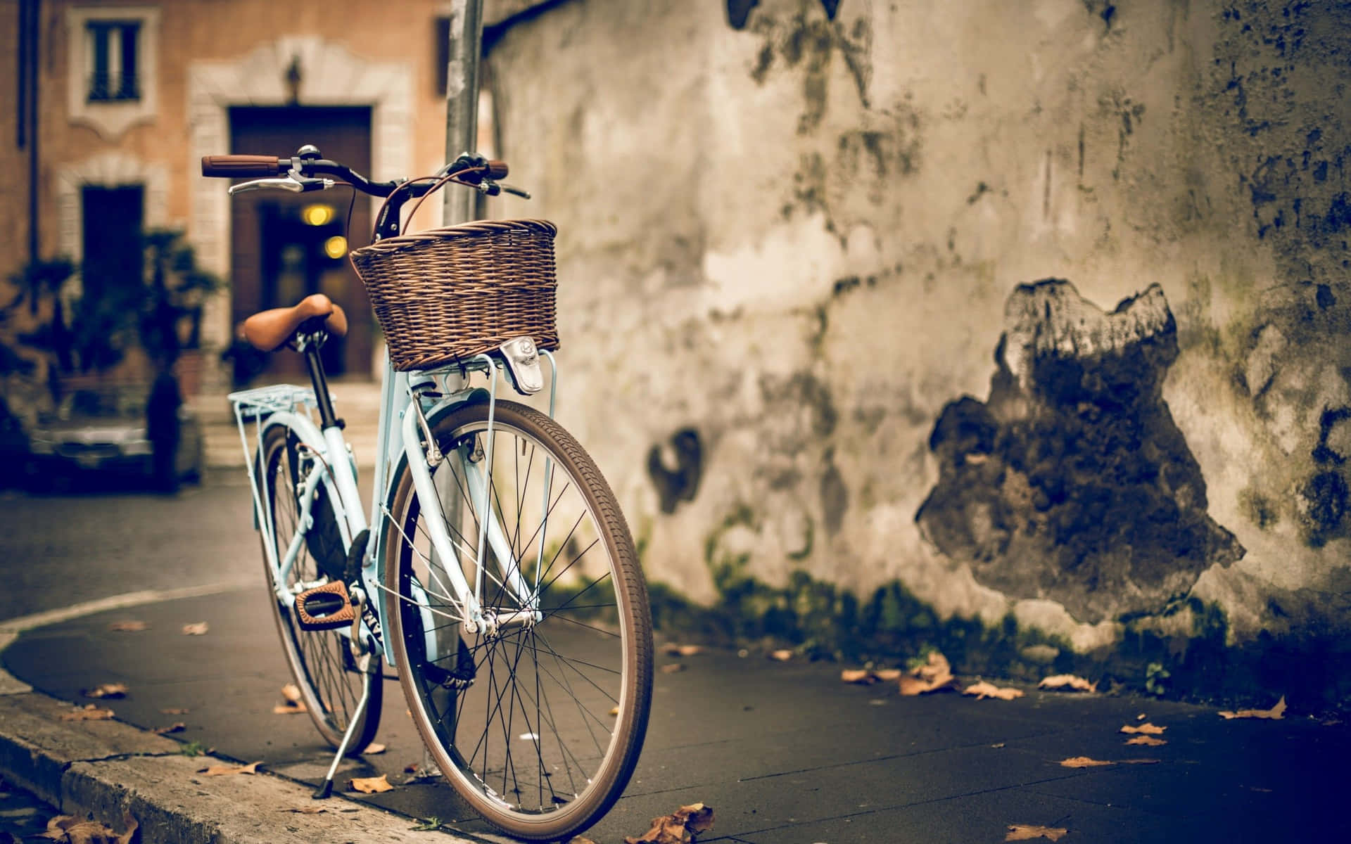 Explore the Beauty of Nature with a Bicycle