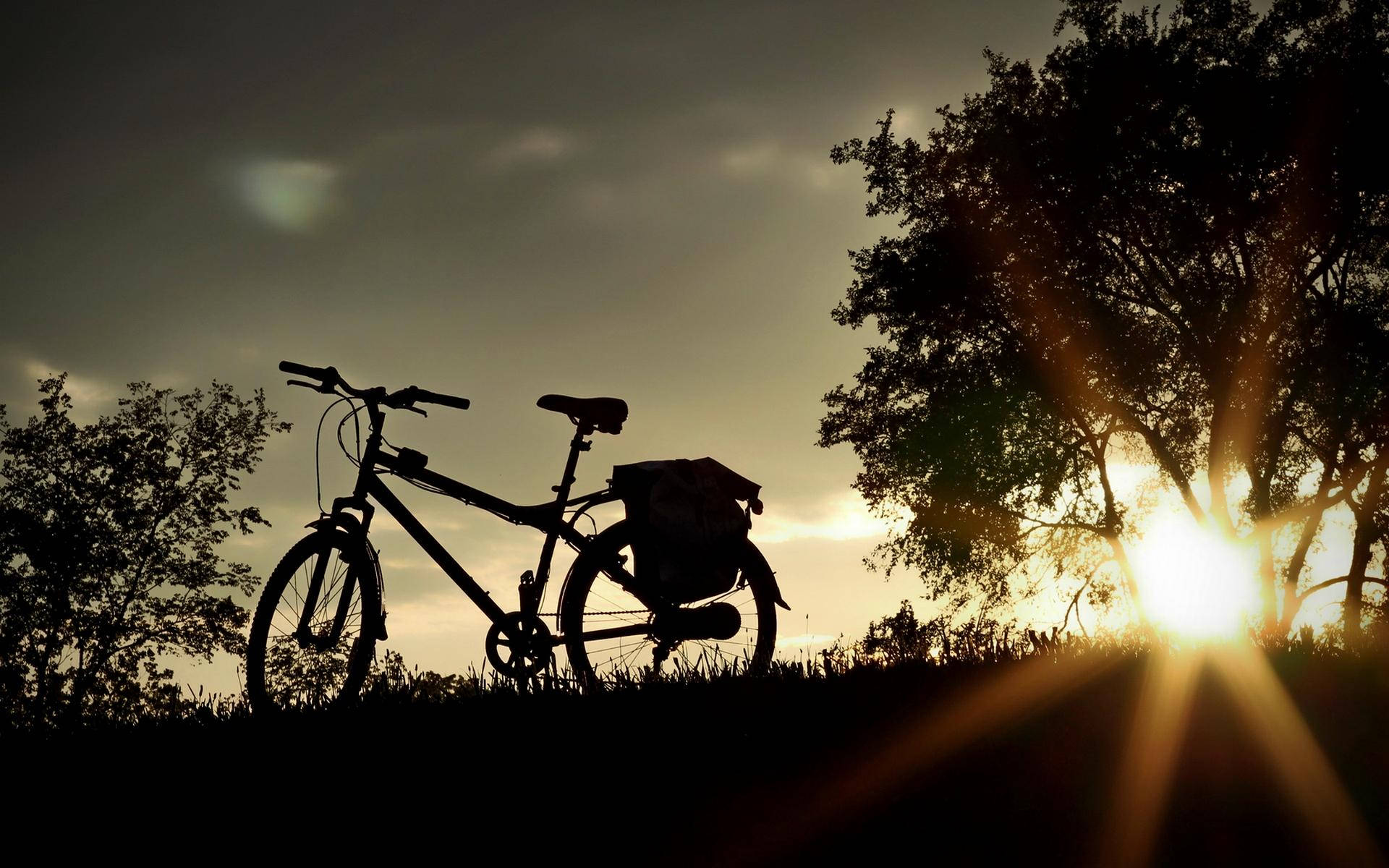 Bicycle Silhouette At Daybreak Background