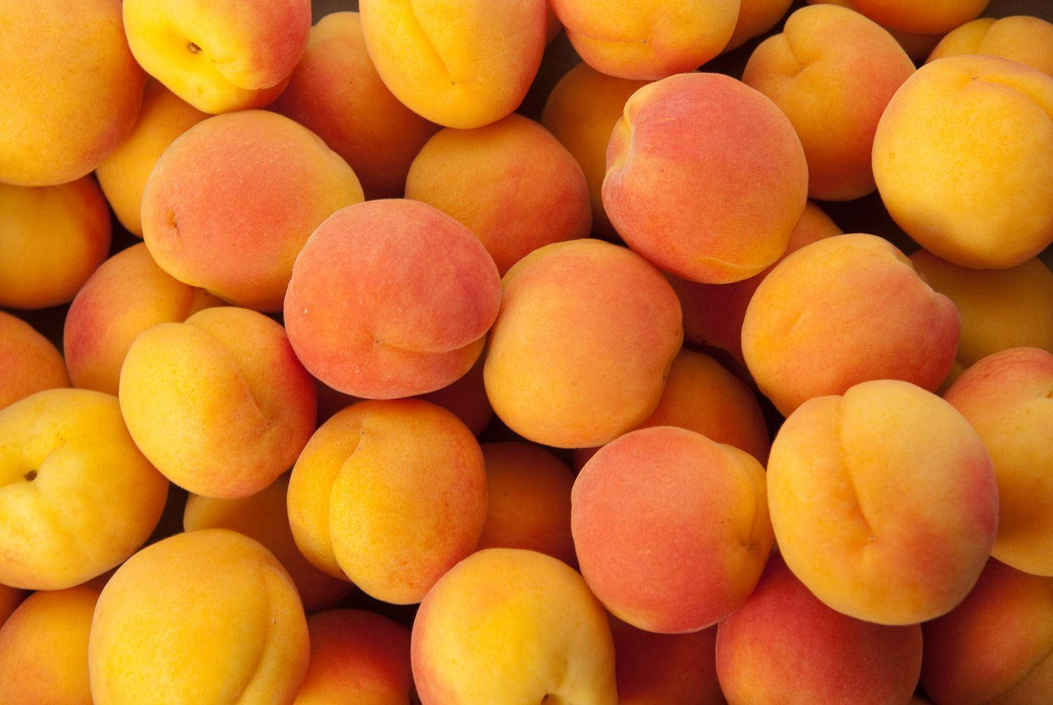 Big And Small Ripe Apricots Wallpaper