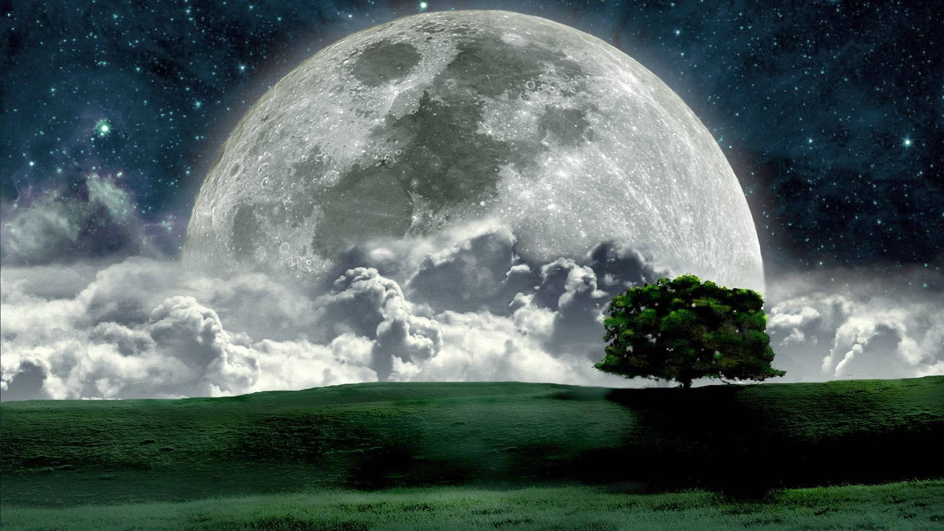 Big Beautiful Full Moon And Field Wallpaper