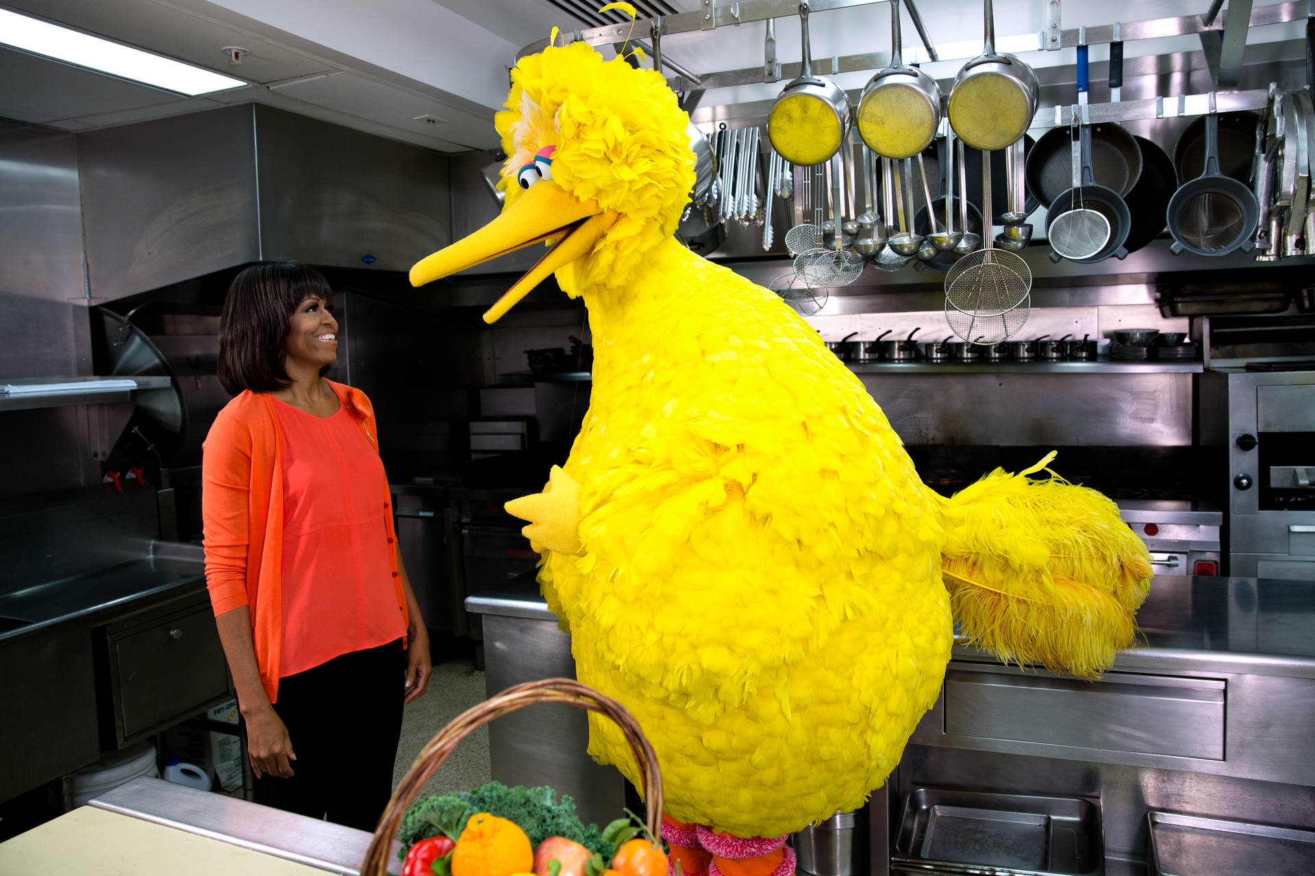 Big Bird And Michelle Obama