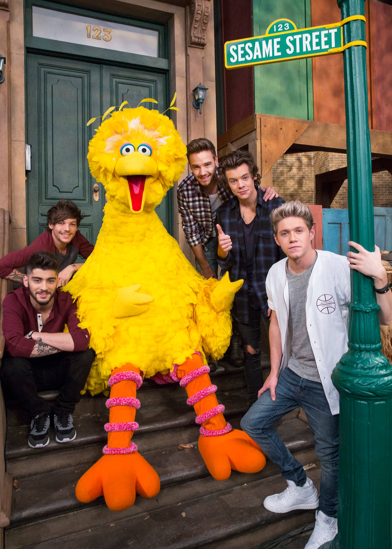 Big Bird And One Direction