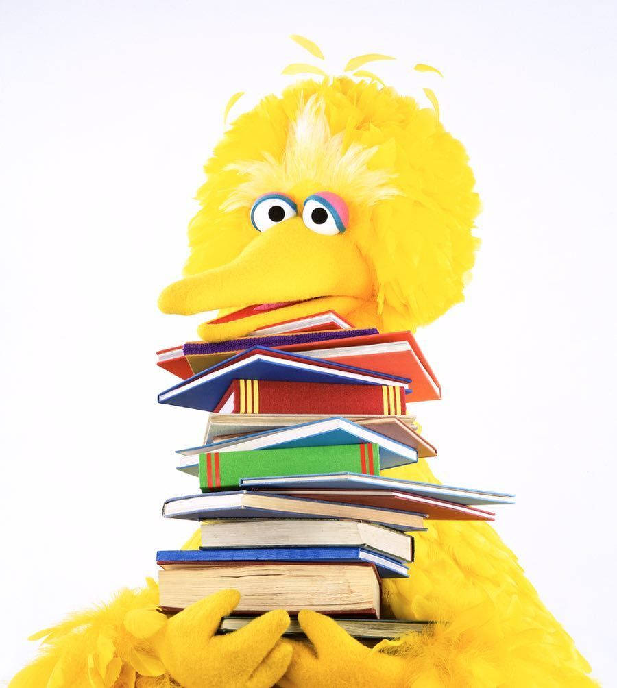 Big Bird Holding Books