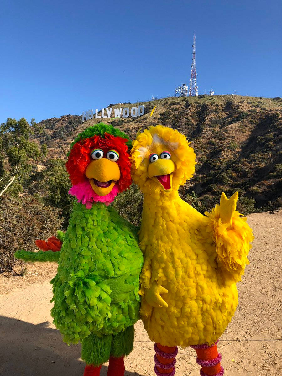 Big Bird In Hollywood