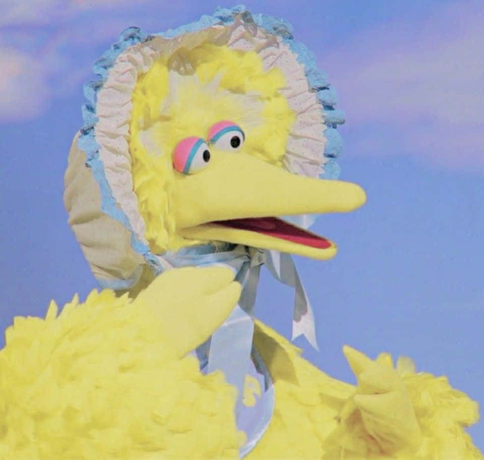 Come Fly With Big Bird