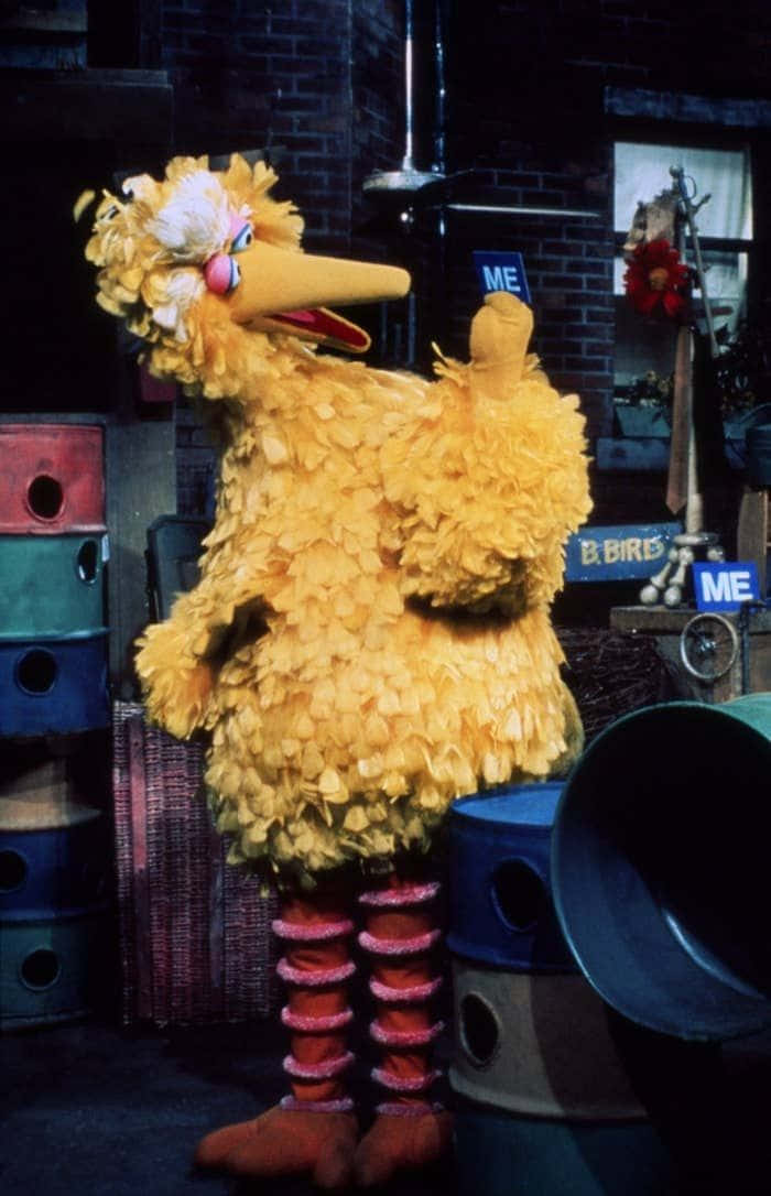Big Bird shows off his signature feathers.