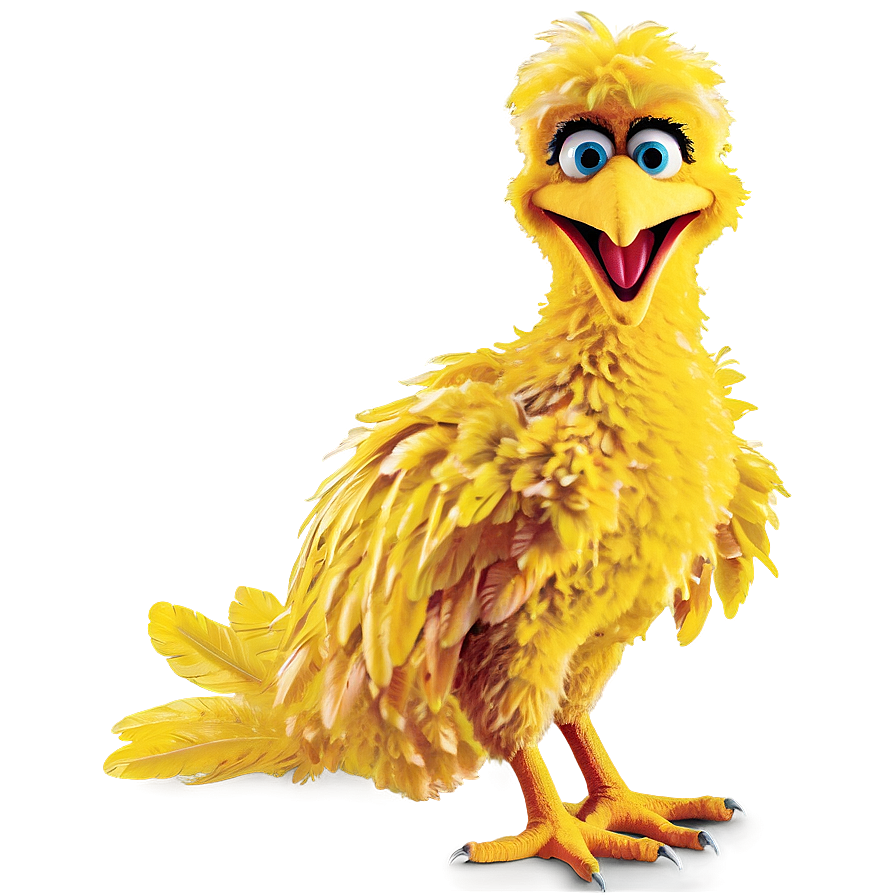 Download Big Bird Png Nvr | Wallpapers.com