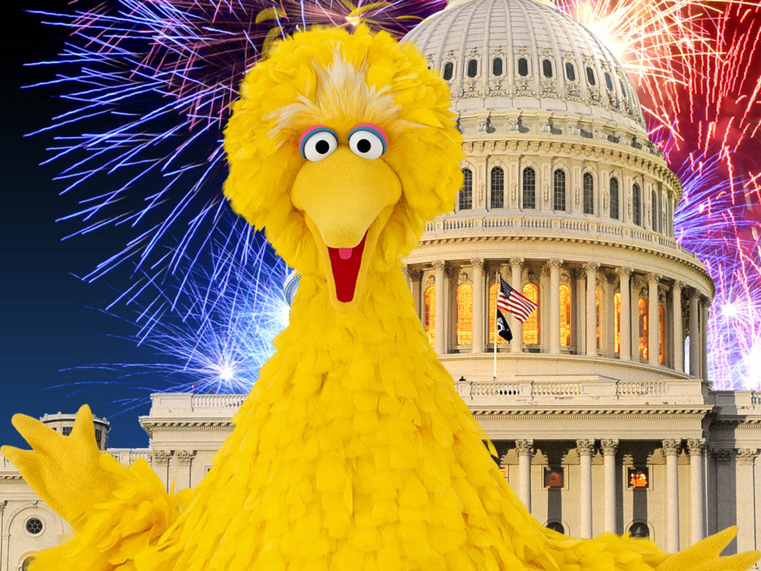 Big Bird White House Fireworks