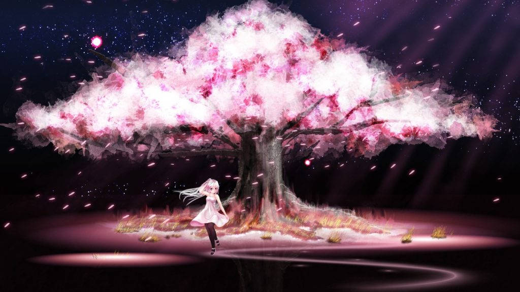 Stor Kirsebærtræ Anime PC Tapet Wallpaper