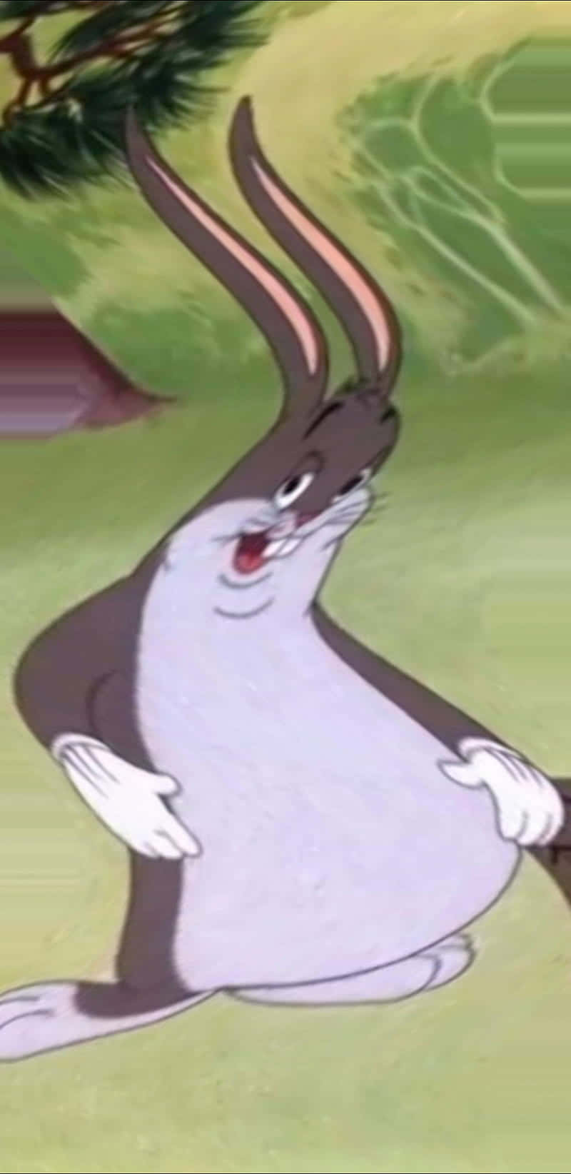 "Big Chungus, the biggest and cutest video game character!" Wallpaper