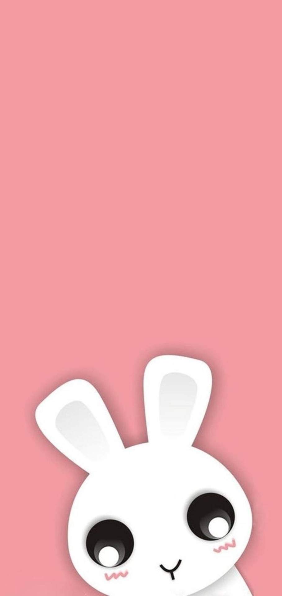 Big-eyed Bunny Cute Iphone Background