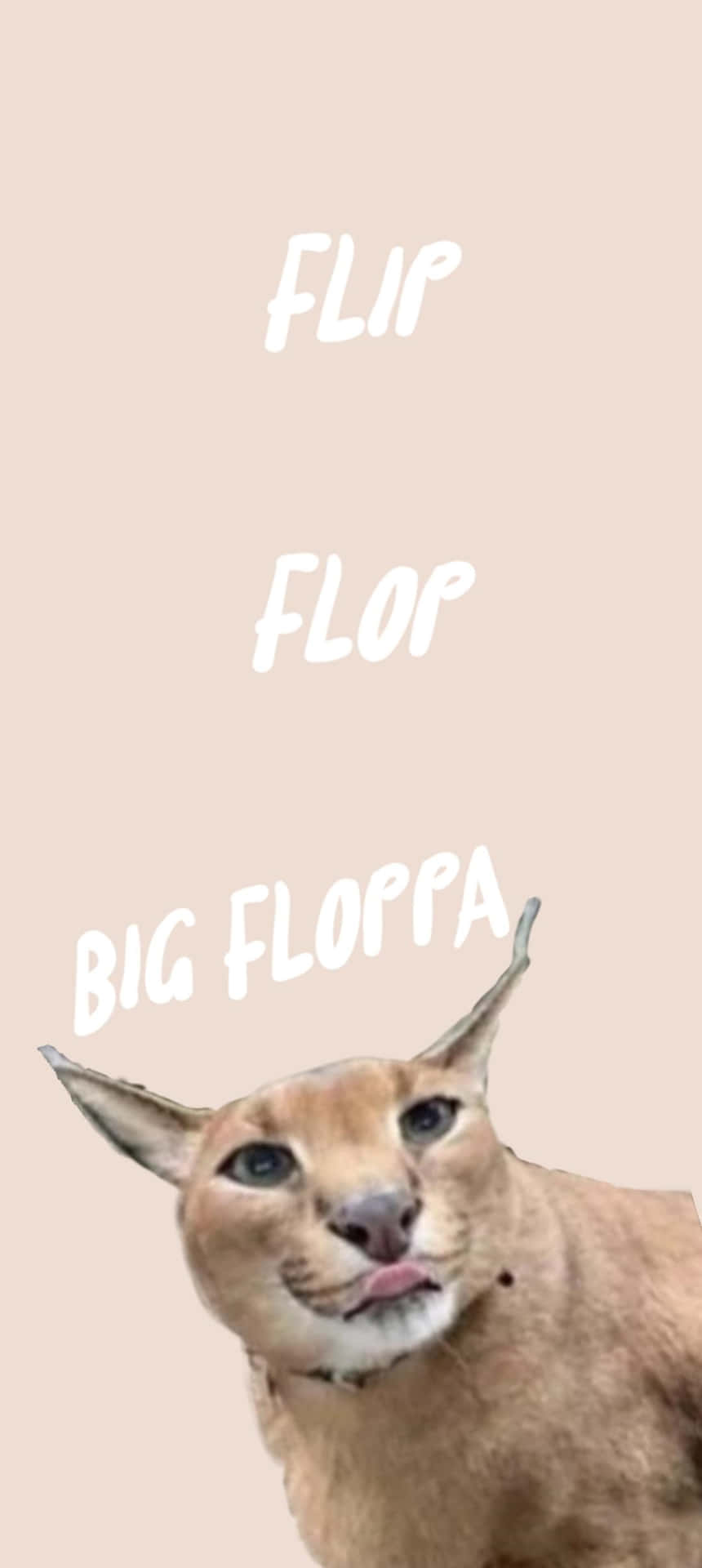 Big Floppa Meme Flip Flop Wallpaper