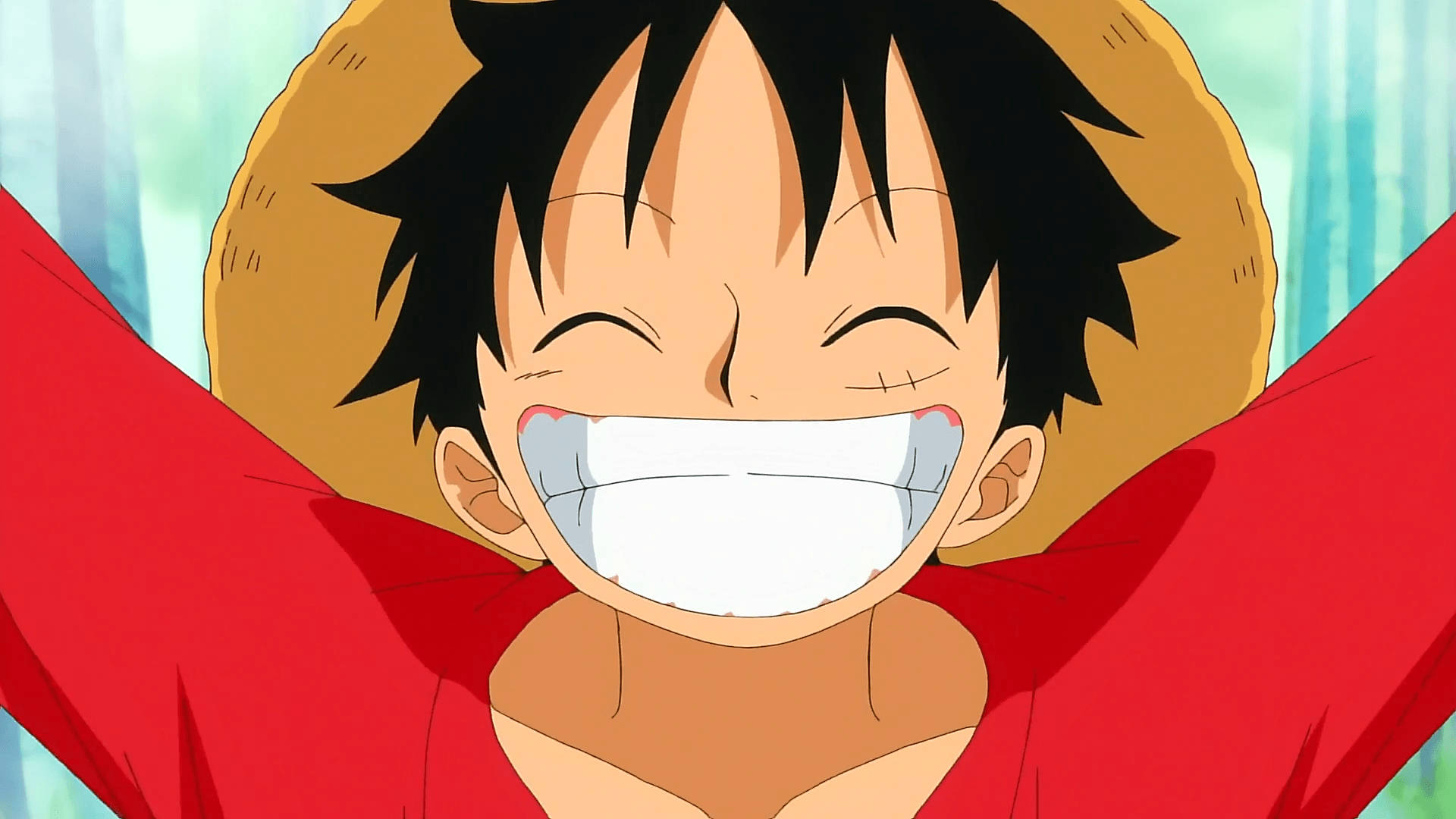 Big Luffy Smile Background