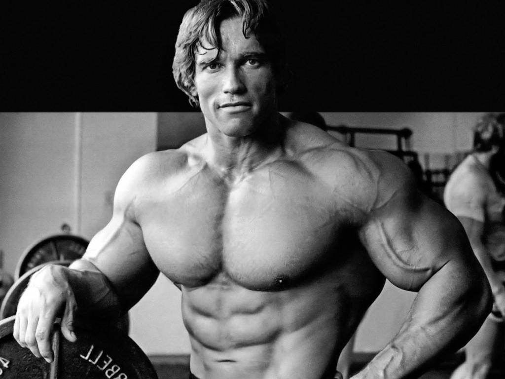 Big Muscle Arnold Schwarzenegger Background