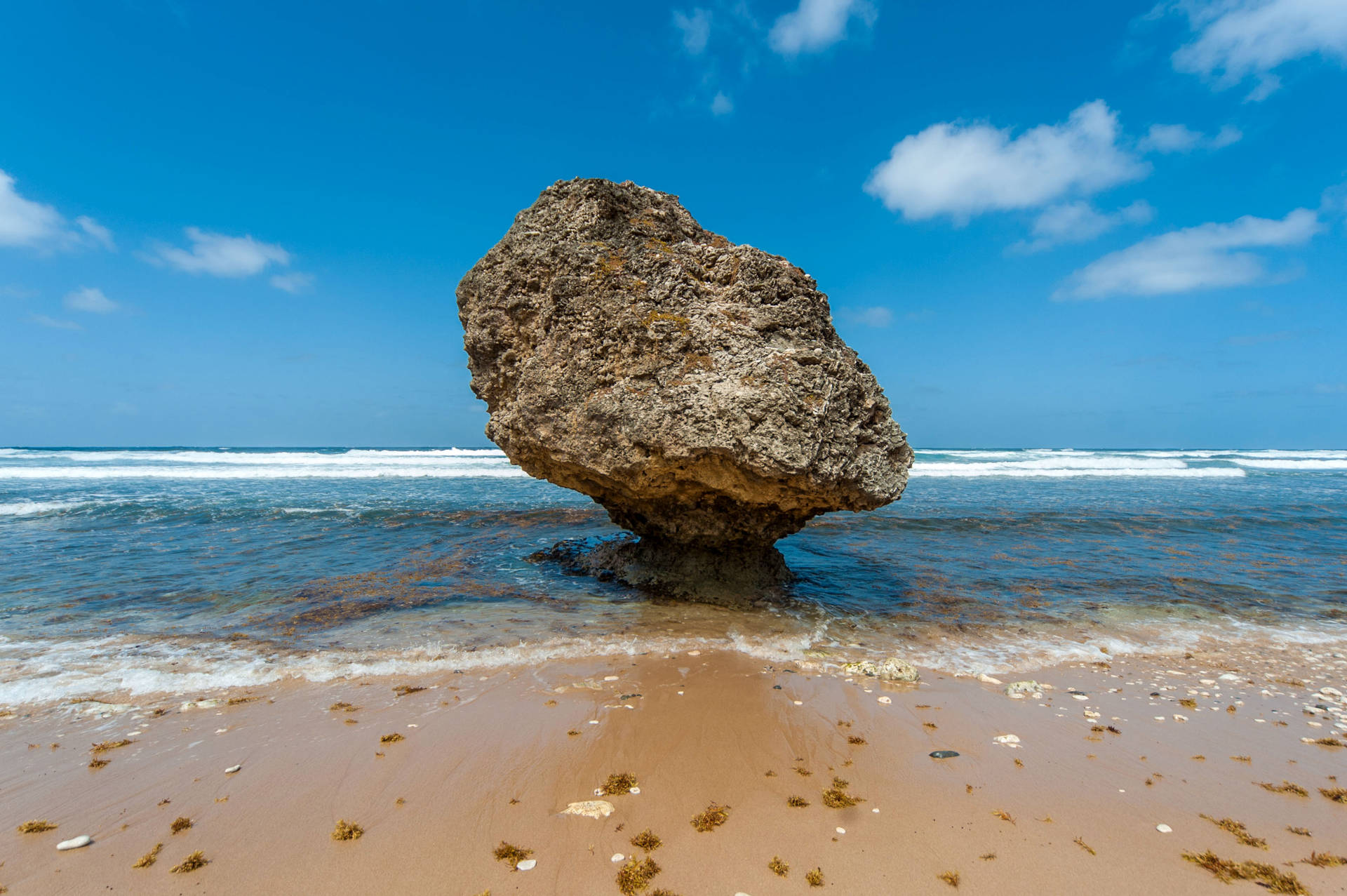 Big Rock On Barbados Sea