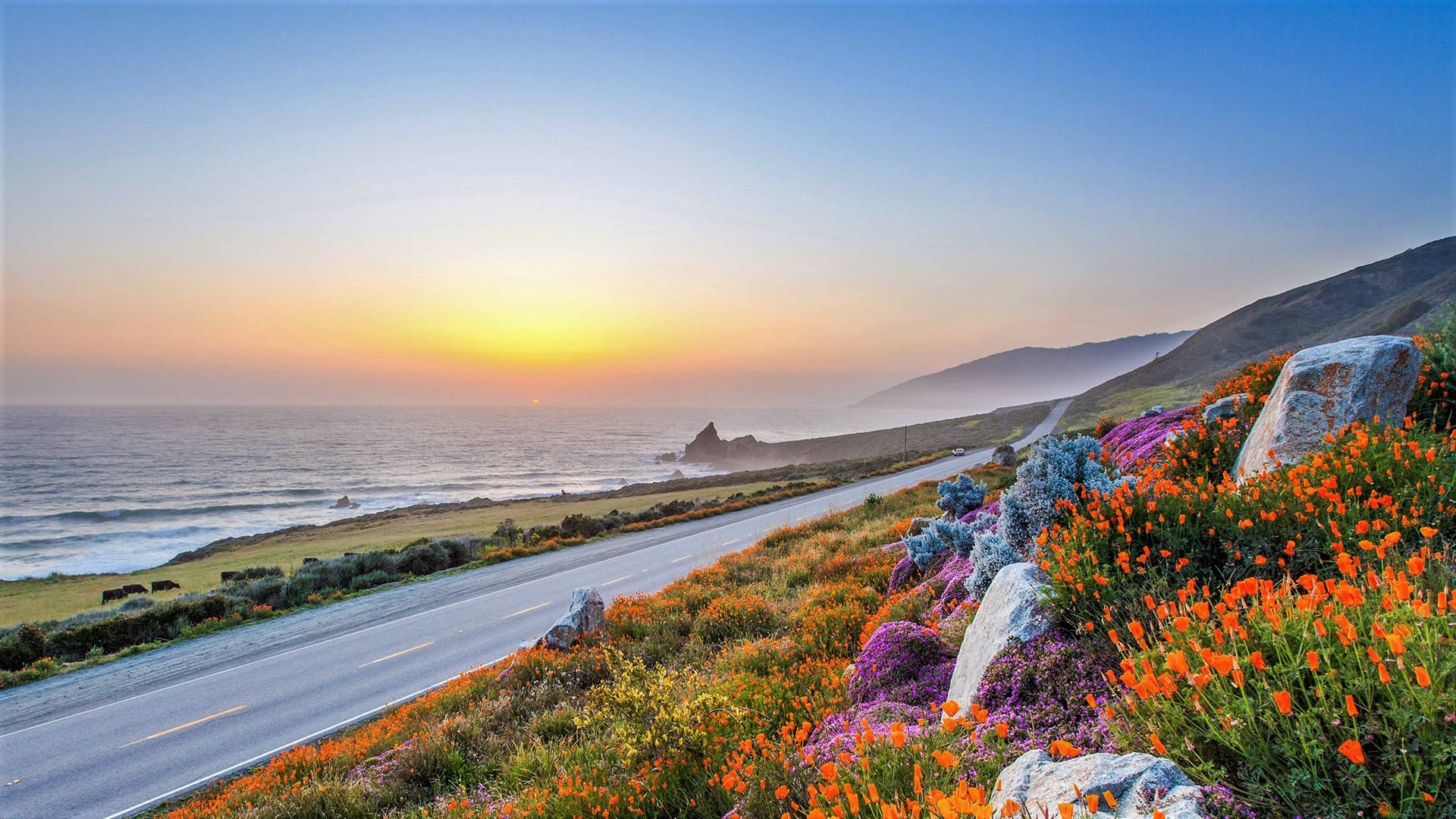 Big Sur Flowers And Sunset Wallpaper