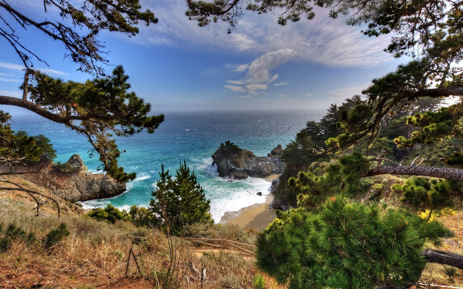 Big Sur Sea Framed By Trees Background