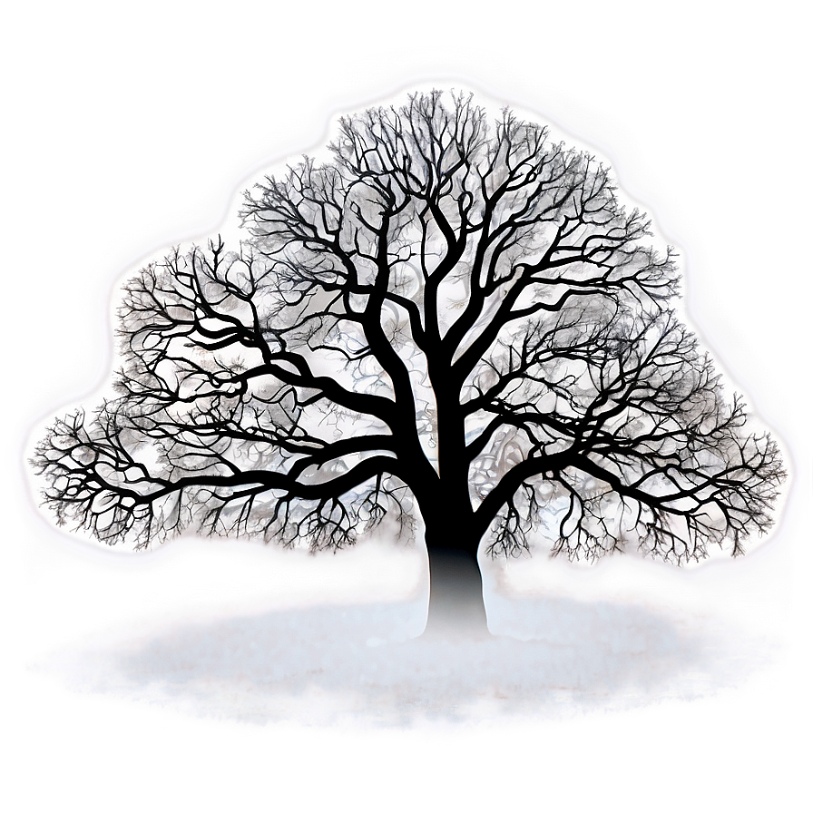 Big Tree In Foggy Landscape Png 06262024 PNG