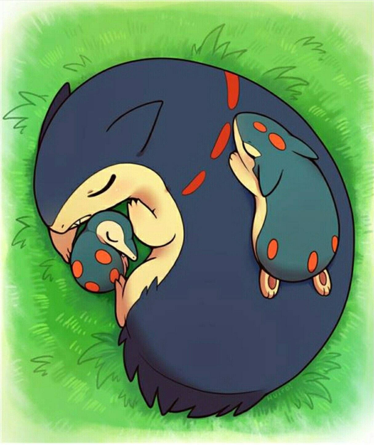 Big Typhlosion Sleeping Picture