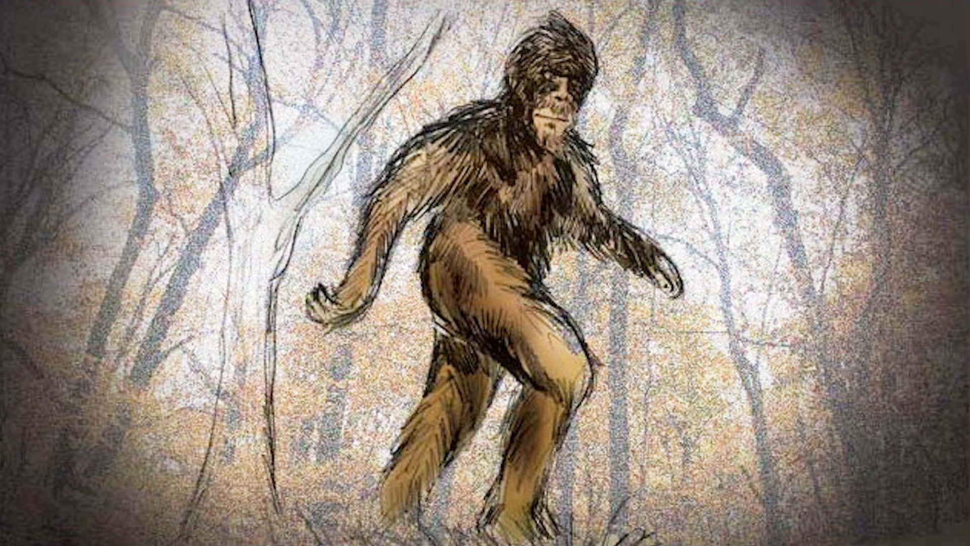 A Drawing Of A Bigfoot In The Woods