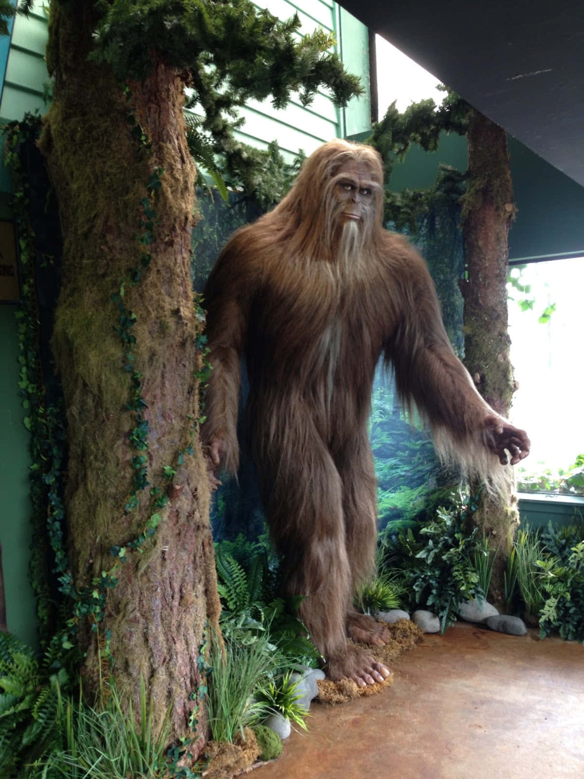 Unastatua Di Bigfoot In Un Museo