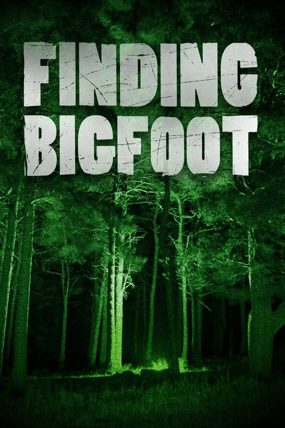 Bigfoot Finde Bigfoot Spøgelses Skov Wallpaper