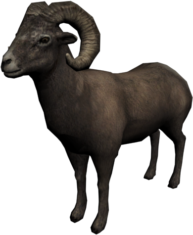 Bighorn Sheep Profile PNG