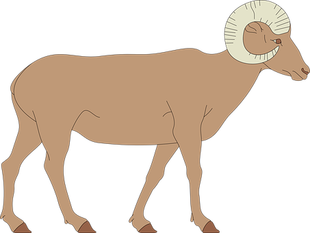 Bighorn Sheep Silhouette PNG