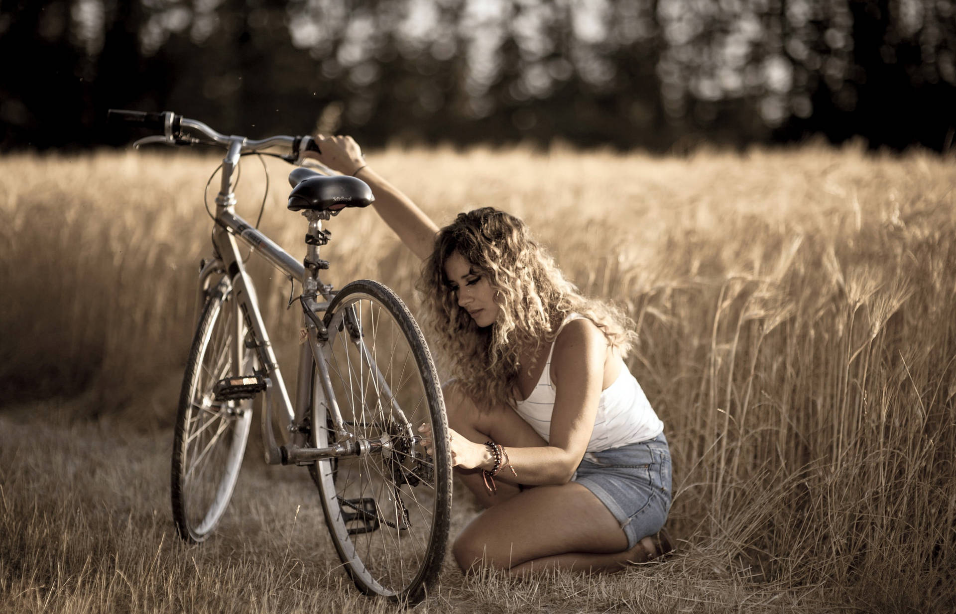Bike Lover In A Wheat Field